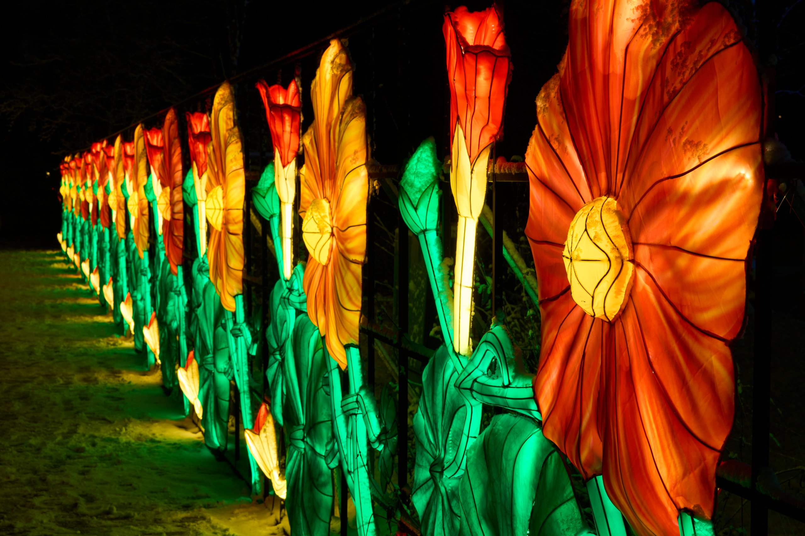 2026 01 05 China Lights 0022